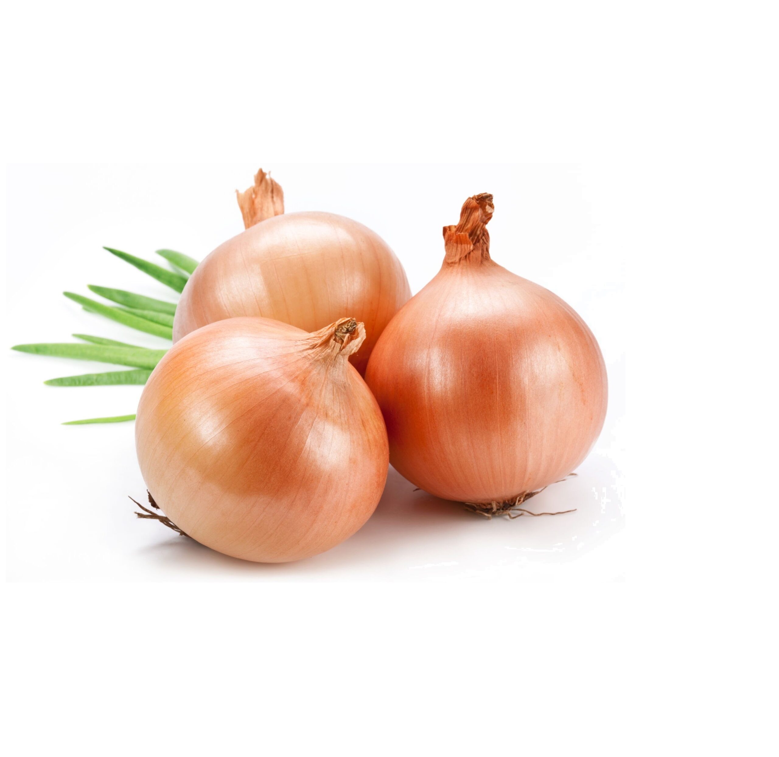 Лук